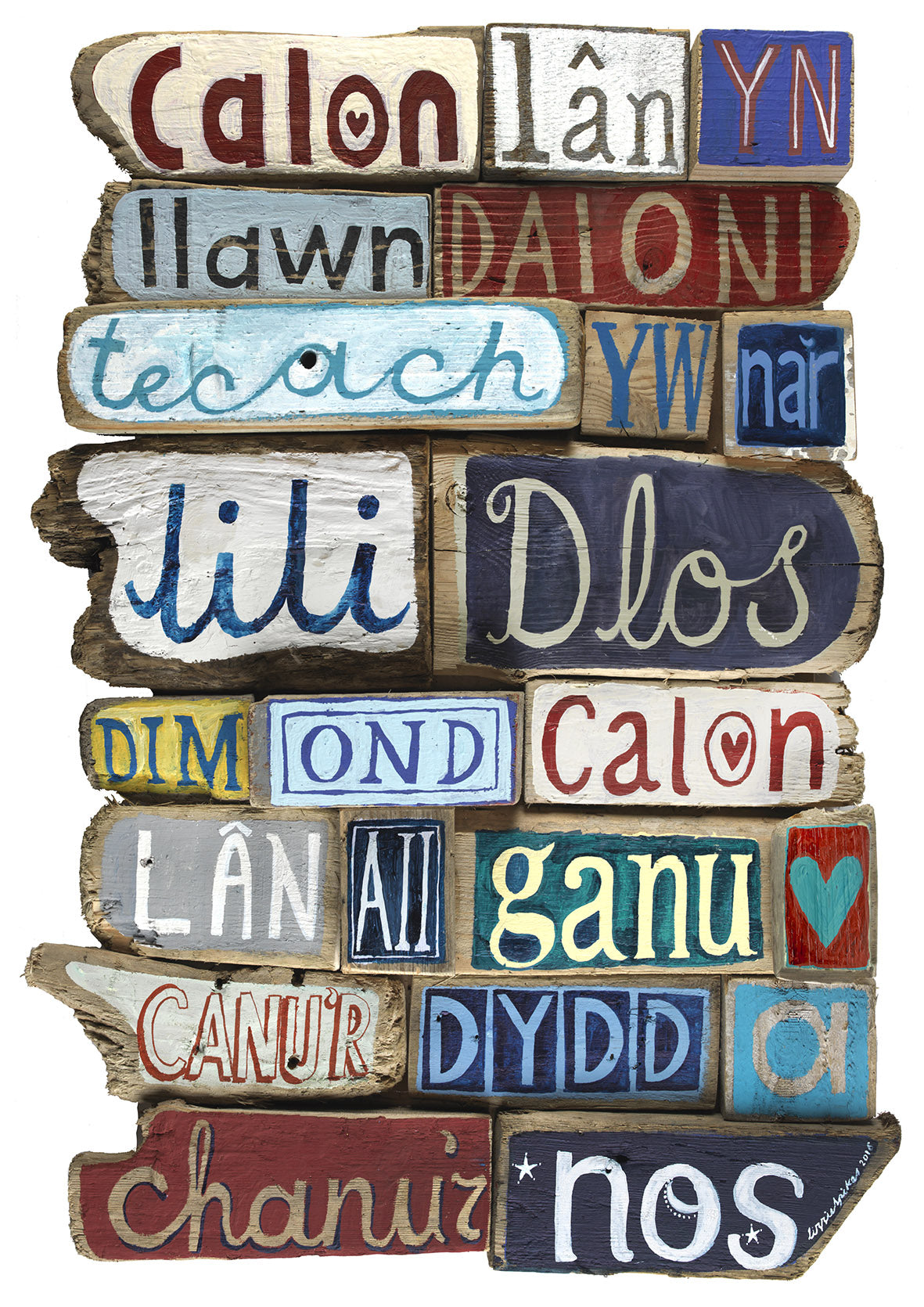 Calon Lan on Driftwood Poster Print