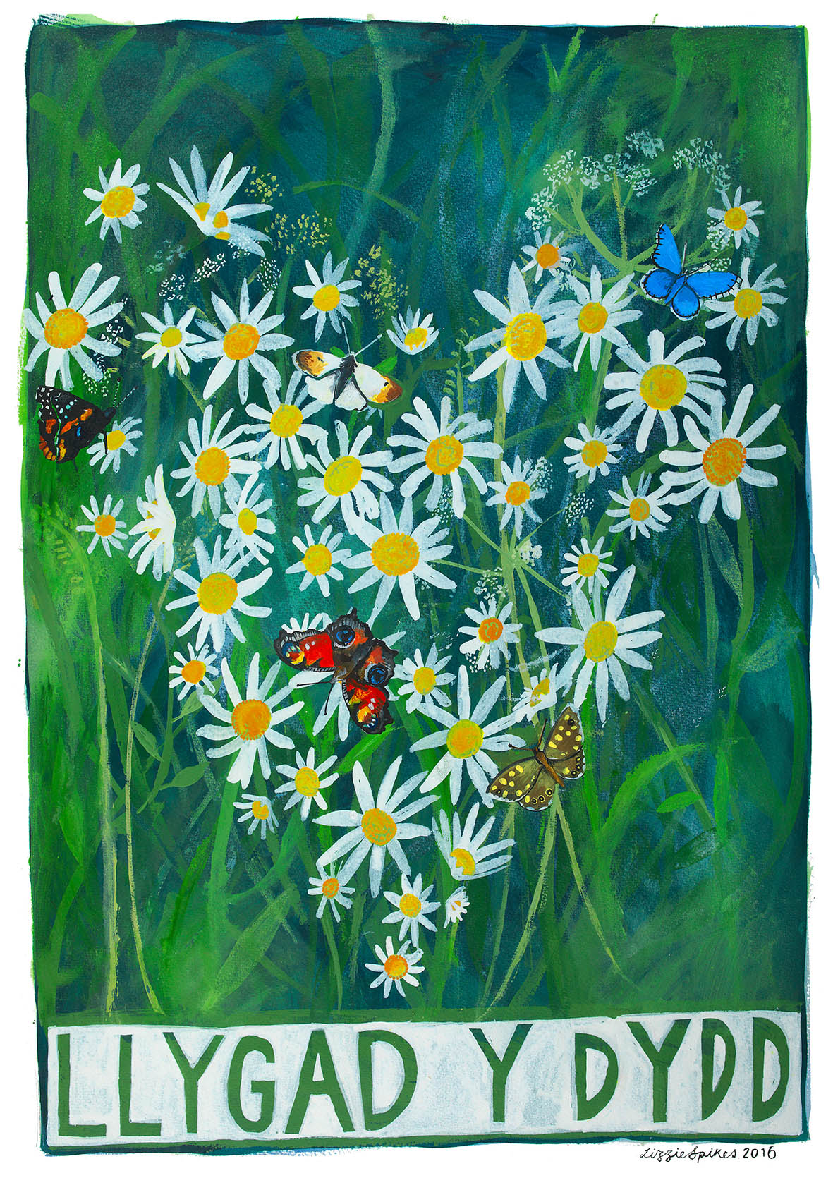 Llygad Y Dydd Fine Art Print