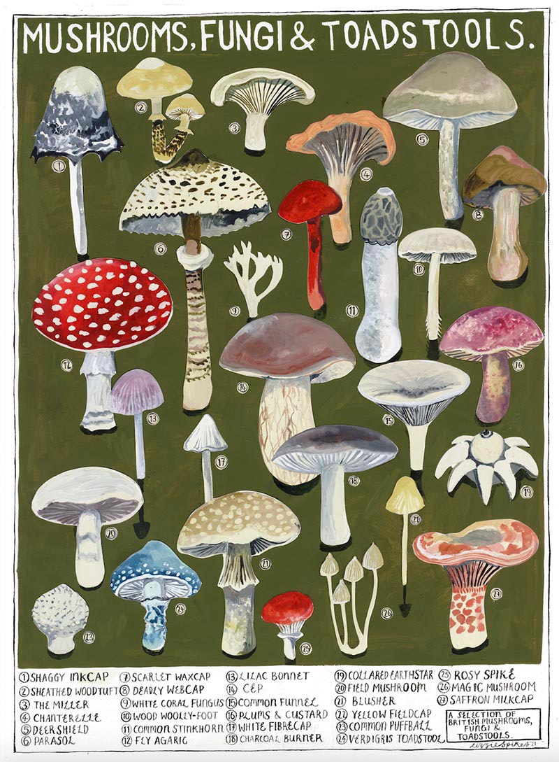 Mushrooms Poster Print